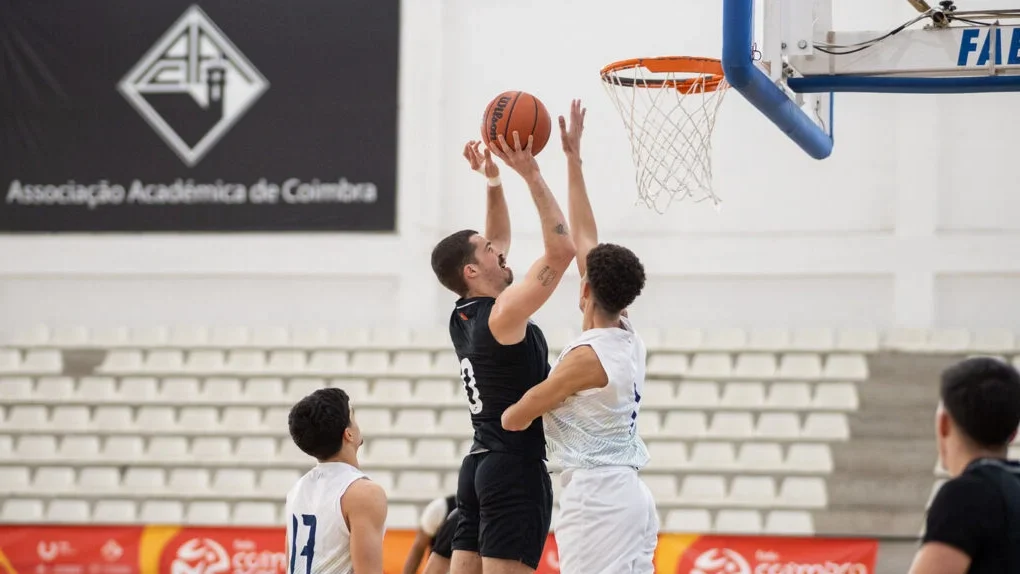 Basket Fadu