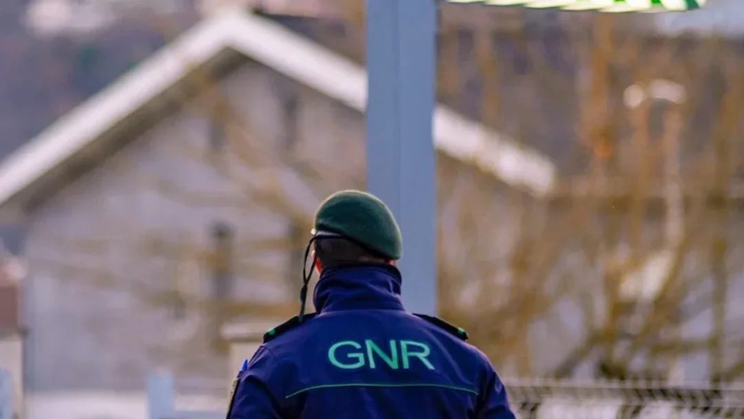 Gnr 1