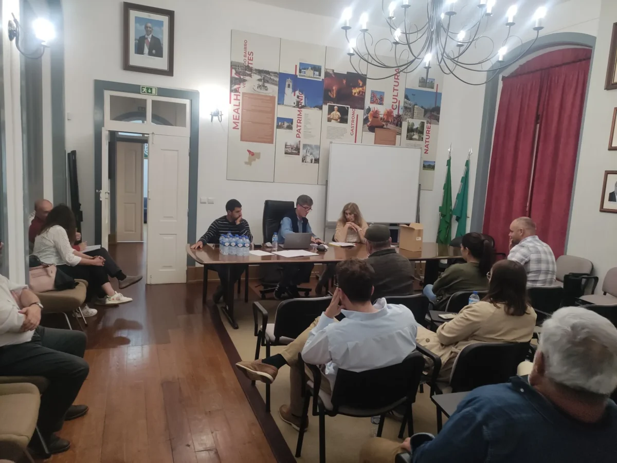 P12 Processo Desagregaçao Freguesias Mealhada