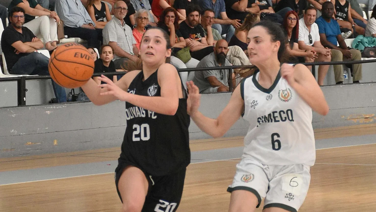 Basquete Fs 2