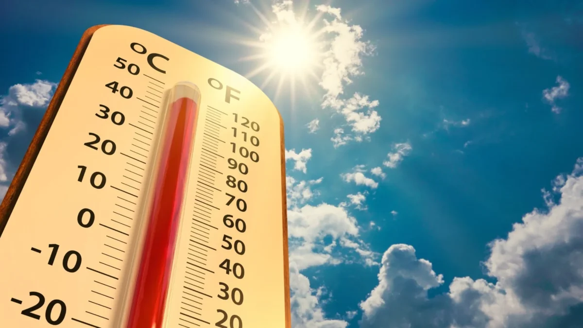 Calor