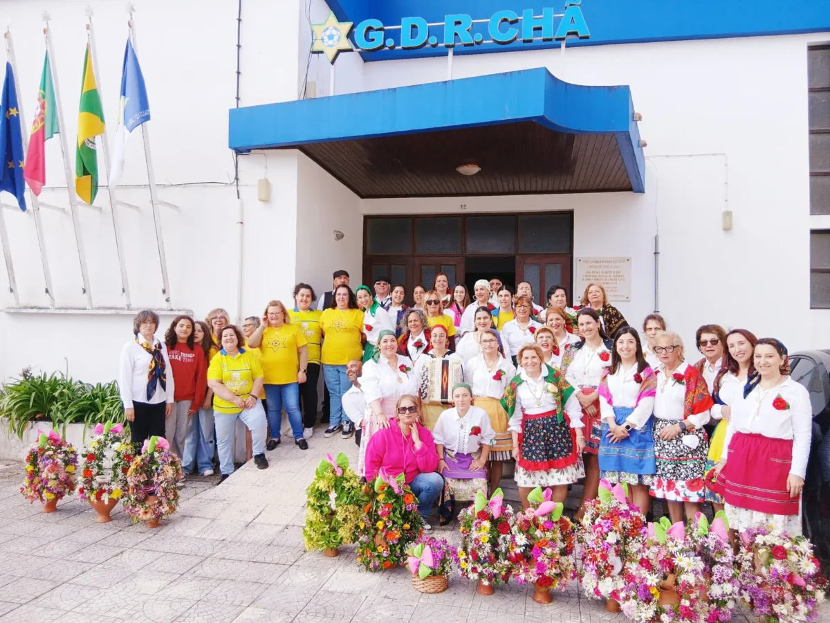 P13 Associação Chã T