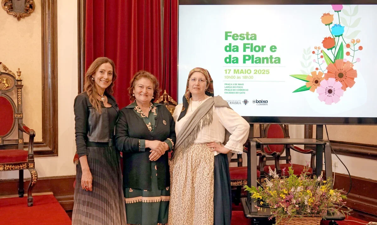 Festa Das Flores T
