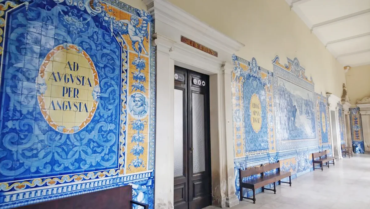 P8 Tribunal Coimbra T