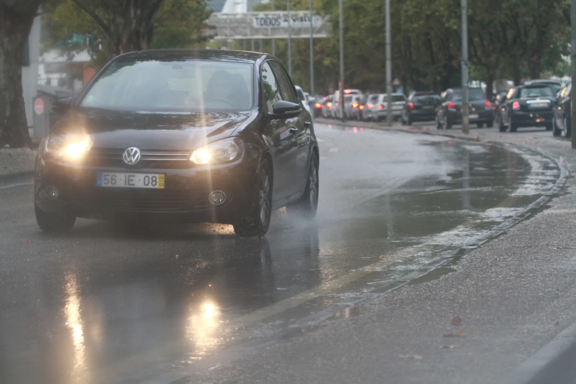 Chuva Em Coimbra Fig 2