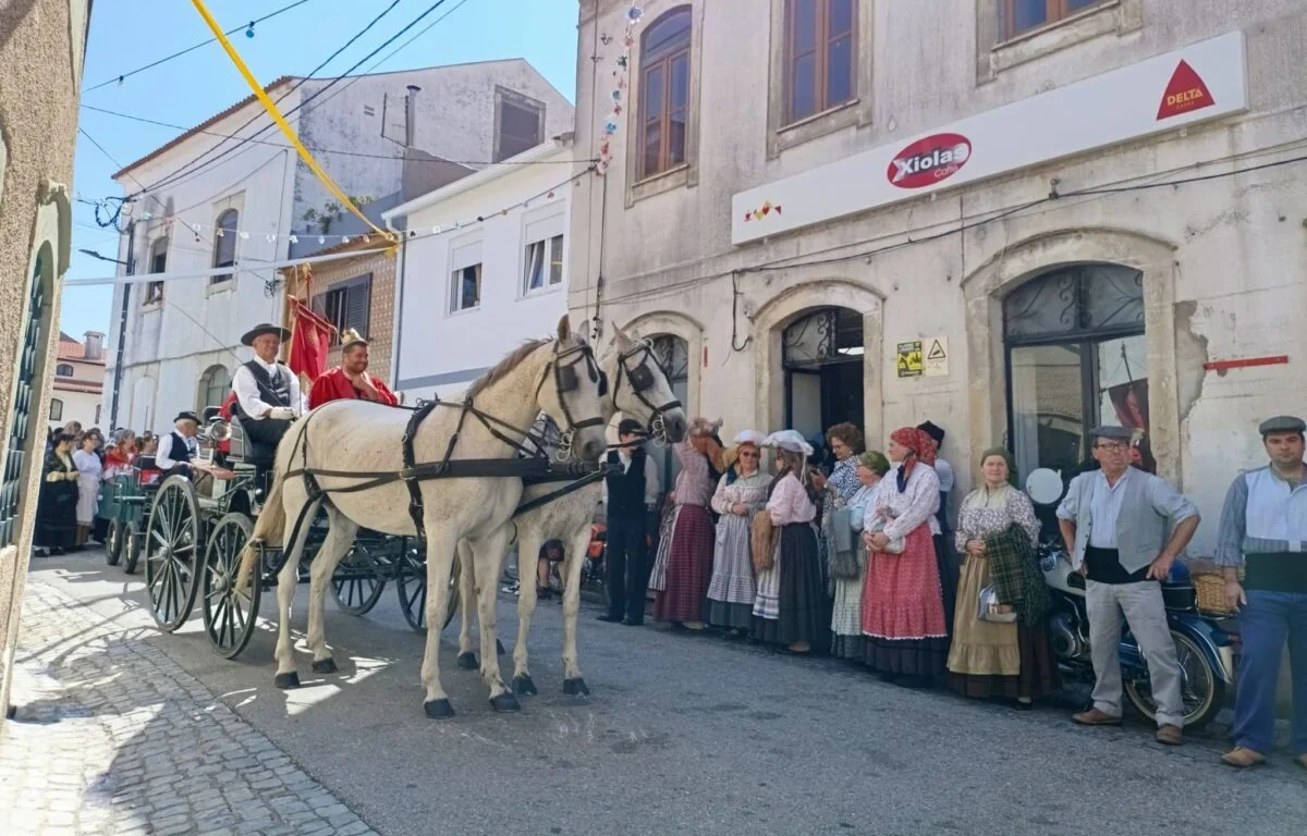 Cortejo Do Imperador Eiras 20
