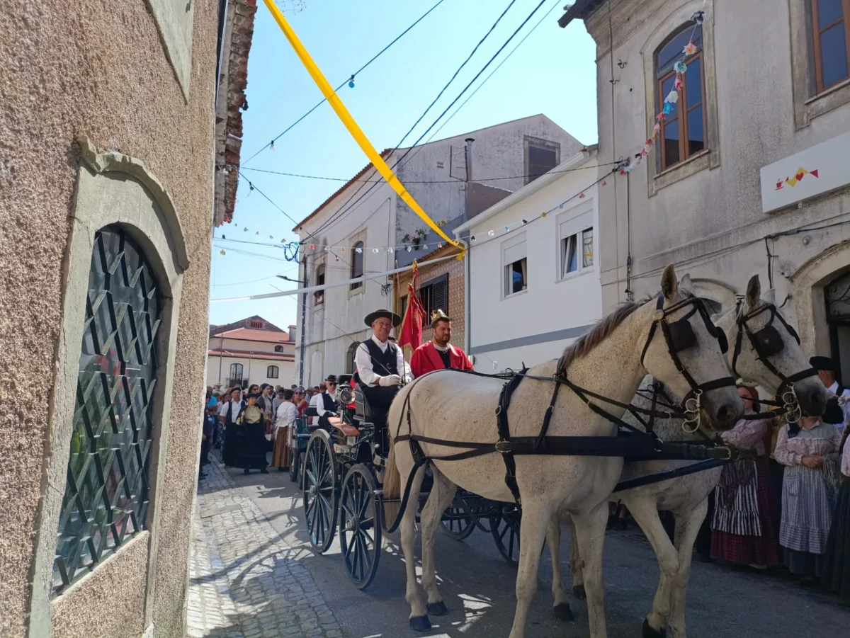 Cortejo Do Imperador Eiras 22
