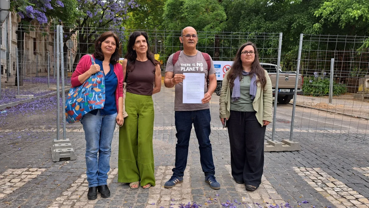 P3 Conferência Jacarandás