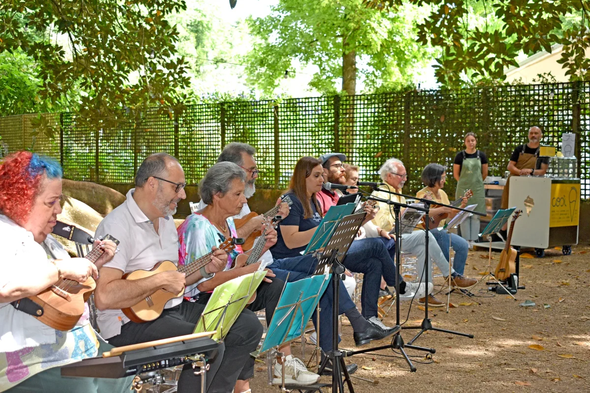 P5 Música Flores E Sabores T