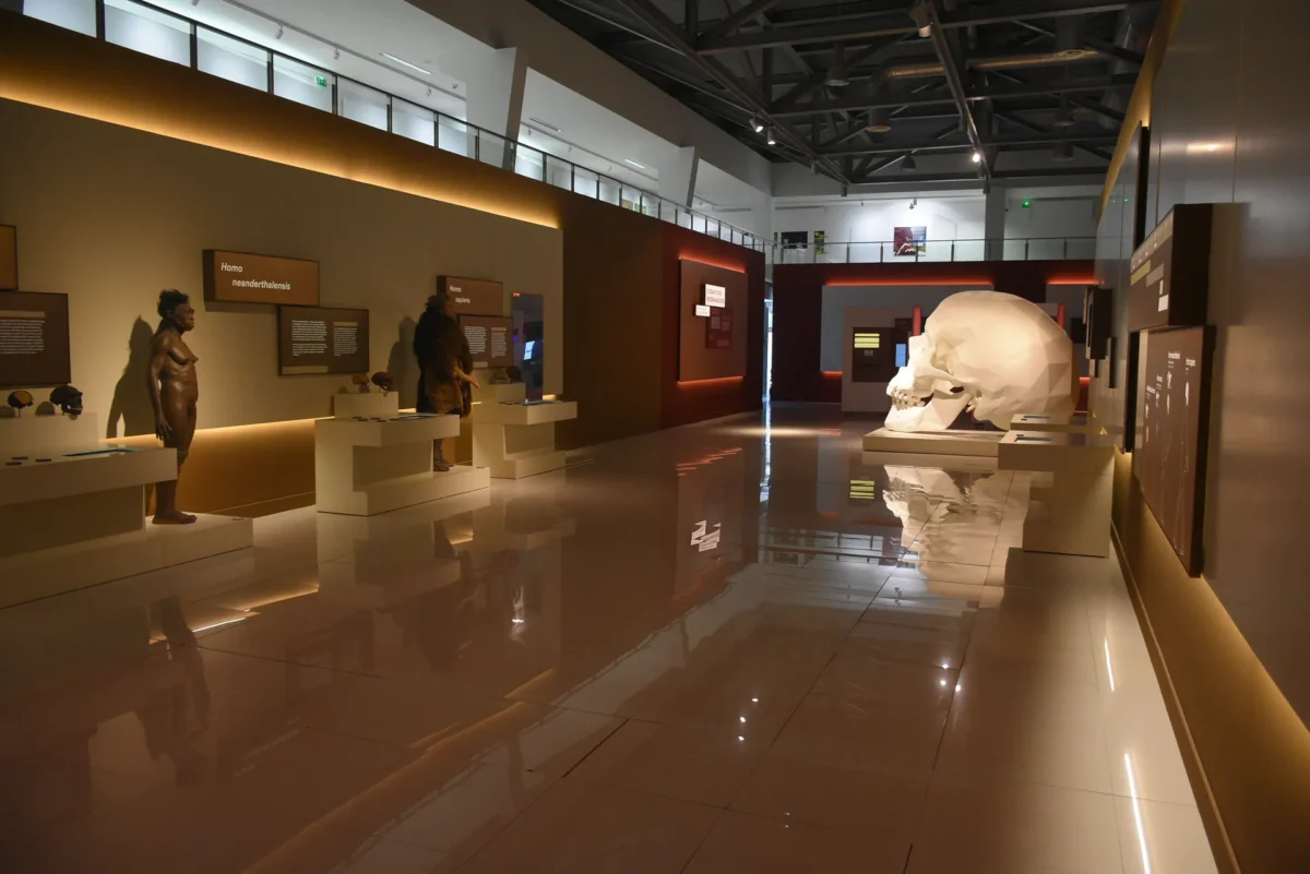 Exposição Cérebro 11