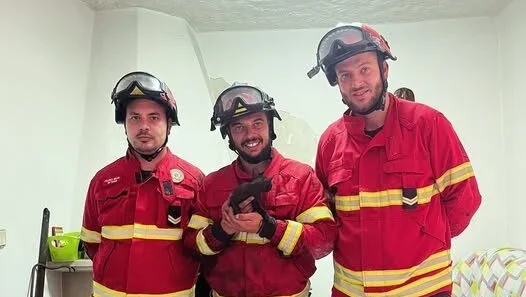 Gato Salvo Bombeiros