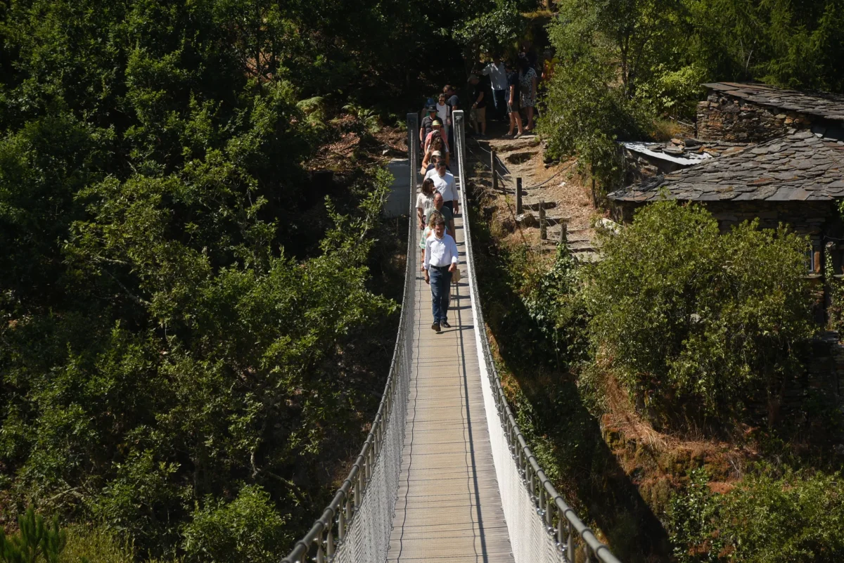 Ponte Suspensa 60