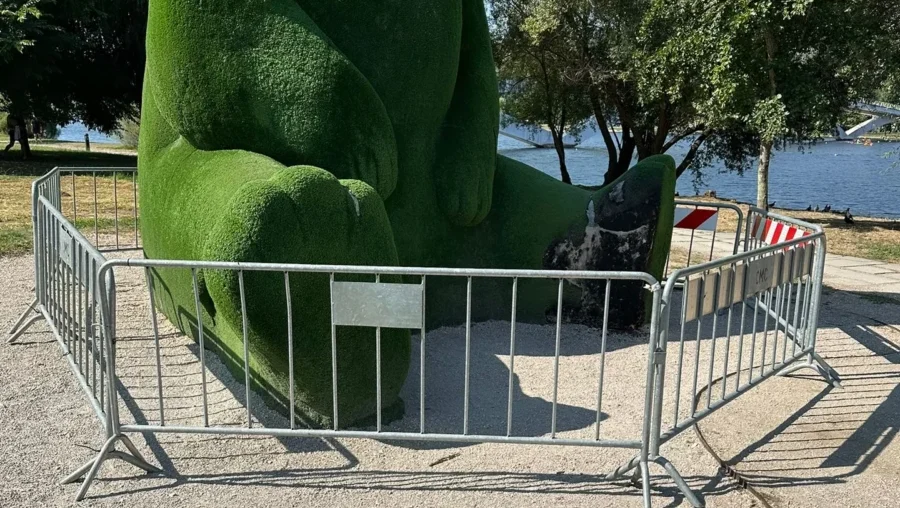 Urso Do Parque Verde