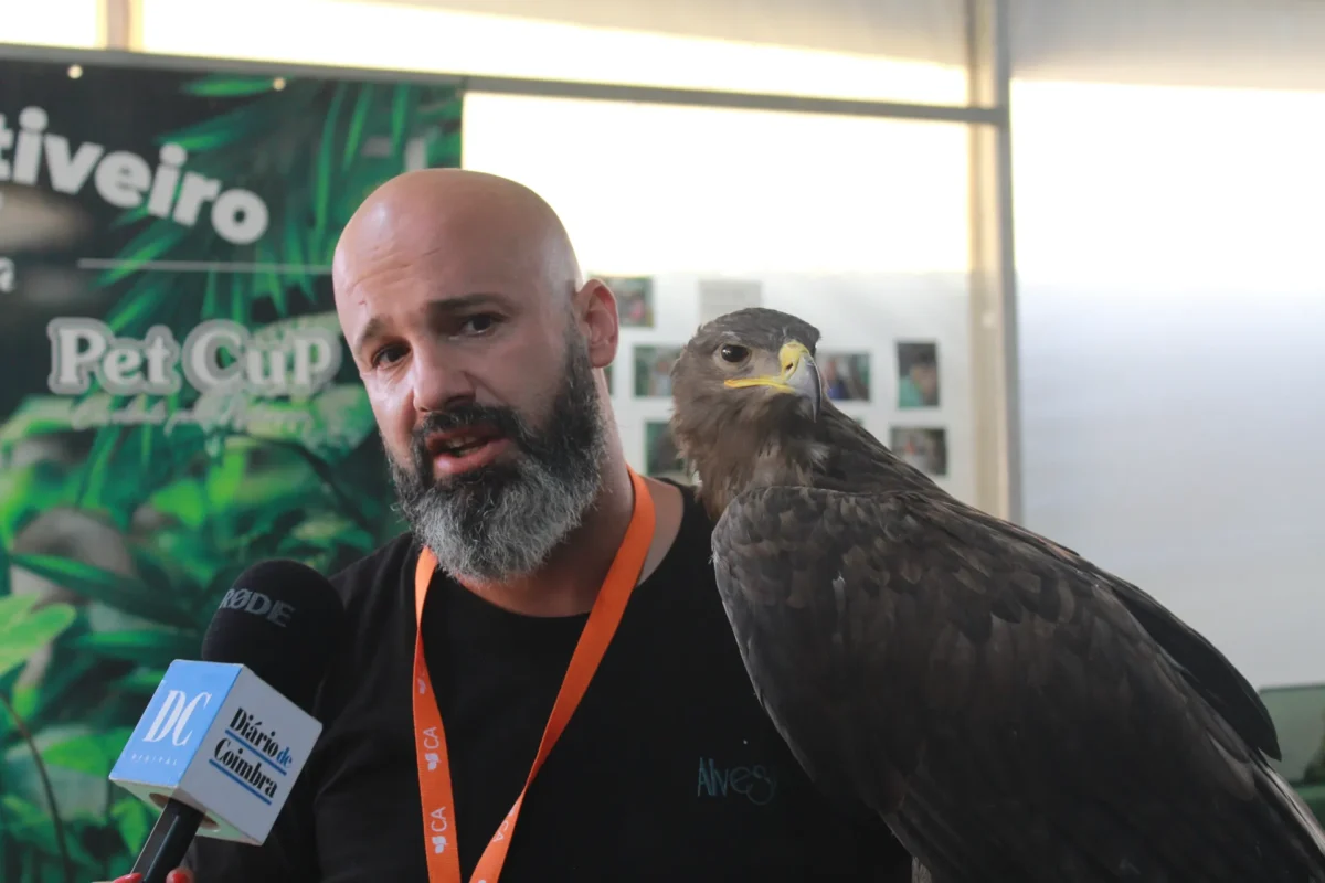 Animais Exóticos Na Expofacic 17
