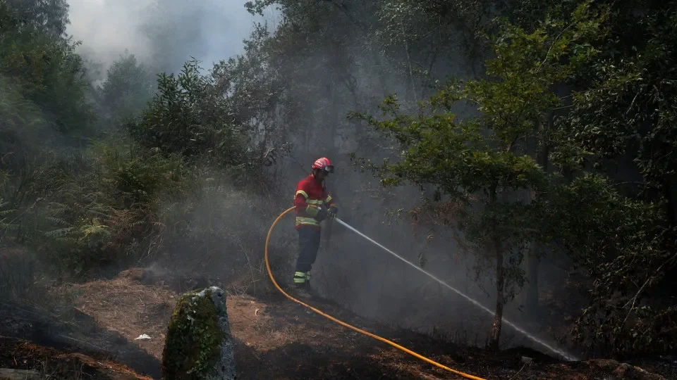 Fogos Reuters