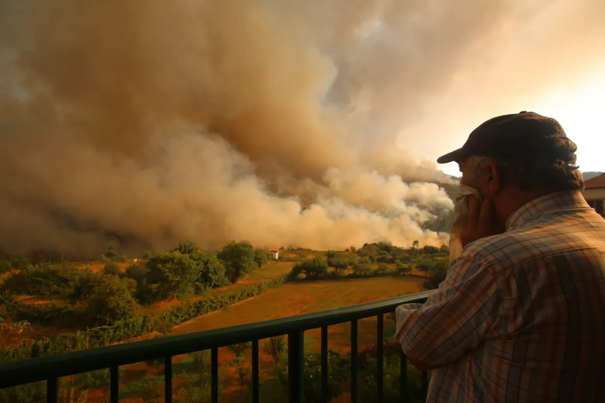 Incêndio Em Oliveira Do Hospital Fig 26