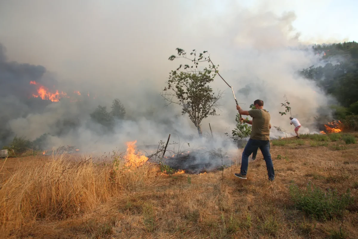 Incêndio Em Oliveira Do Hospital Fig 31