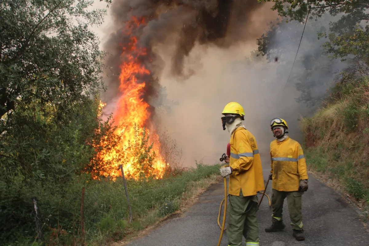 Incêndio Em Oliveira Do Hospital Fig 47