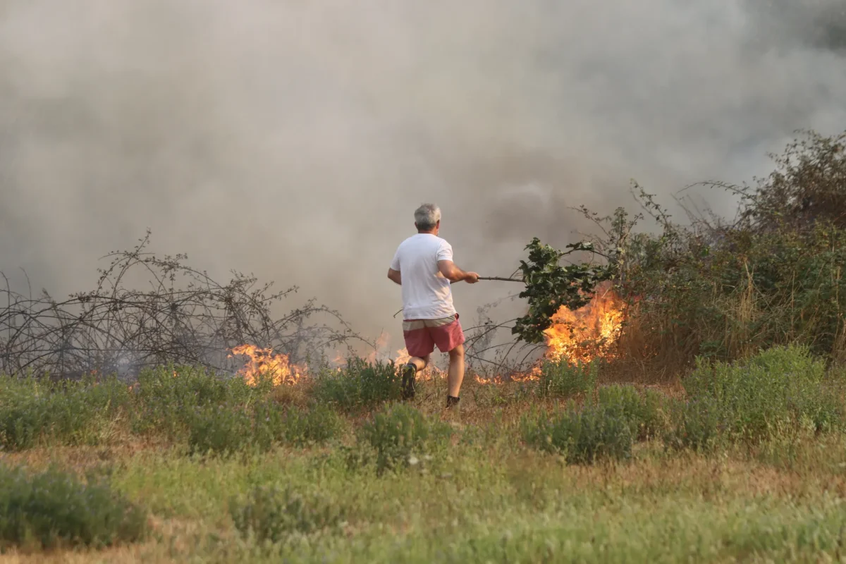 Incêndio Em Oliveira Do Hospital Fig 64