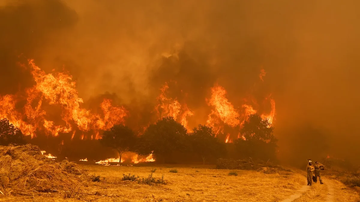 Incendios Em Espanha