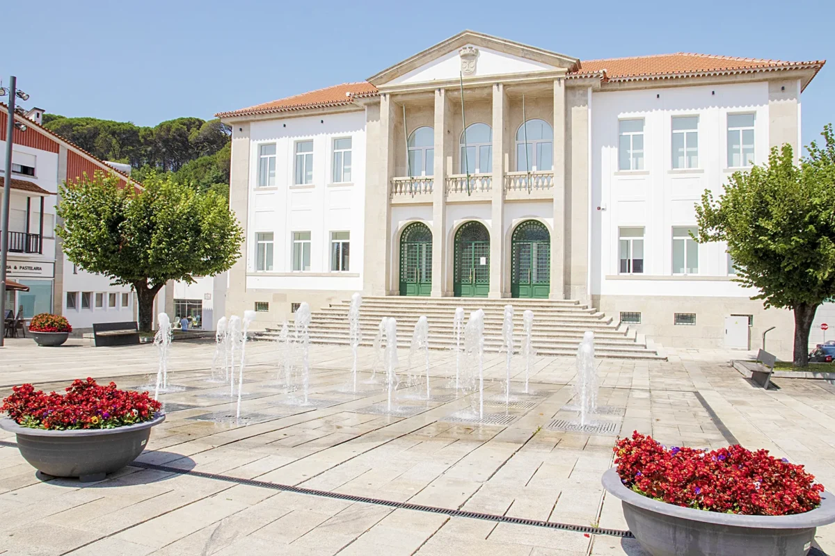 Câmara Municipal De Arganil T