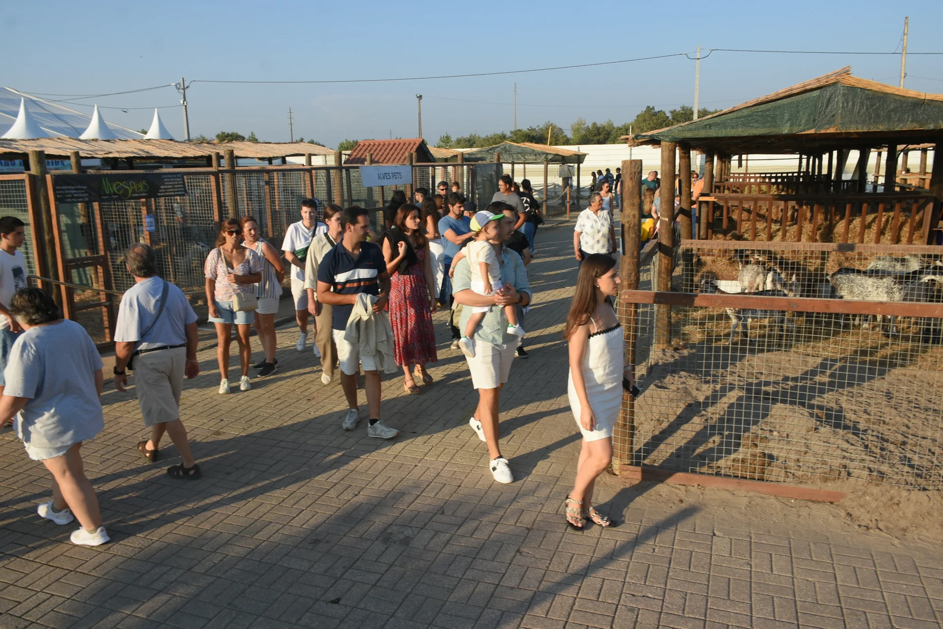 Publico setor agricola