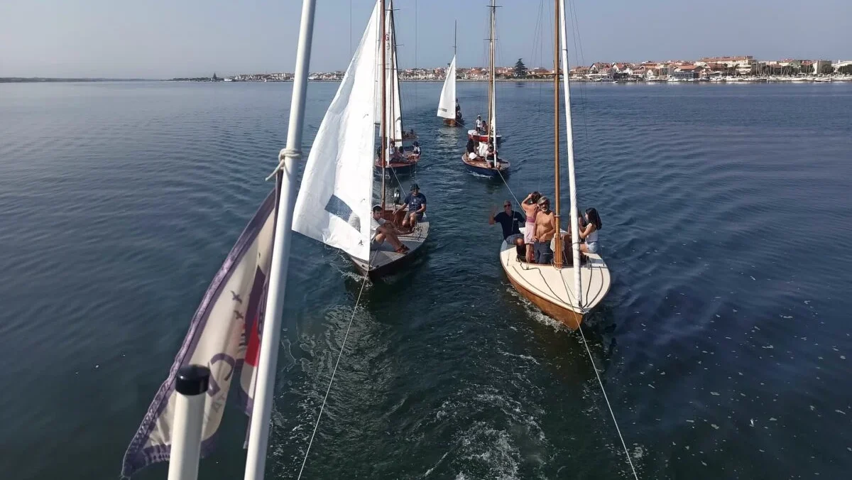 Vela Net