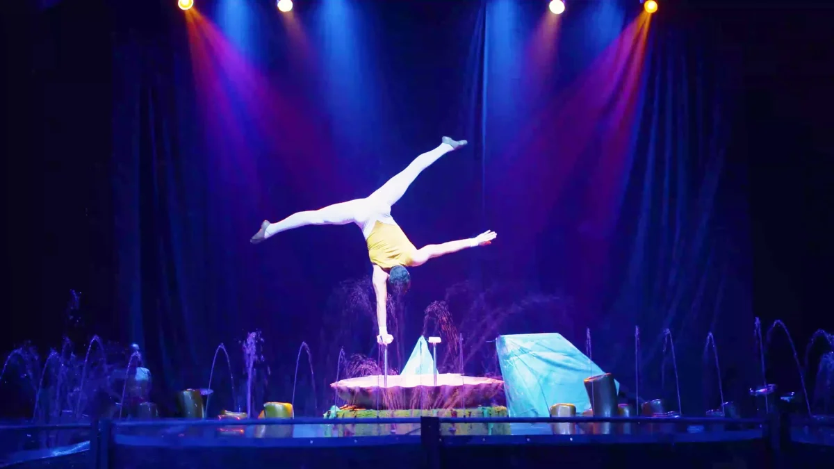 Festival Circo Lousã T