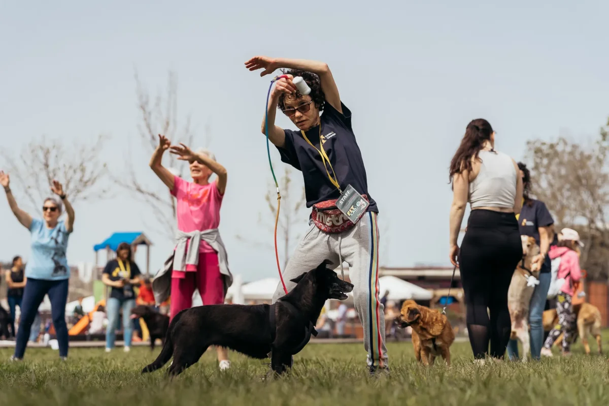 Fit CÃo Coimbra 3