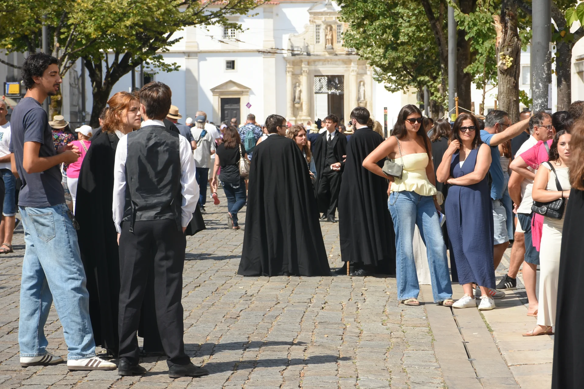 Matriculas Caloiros 65