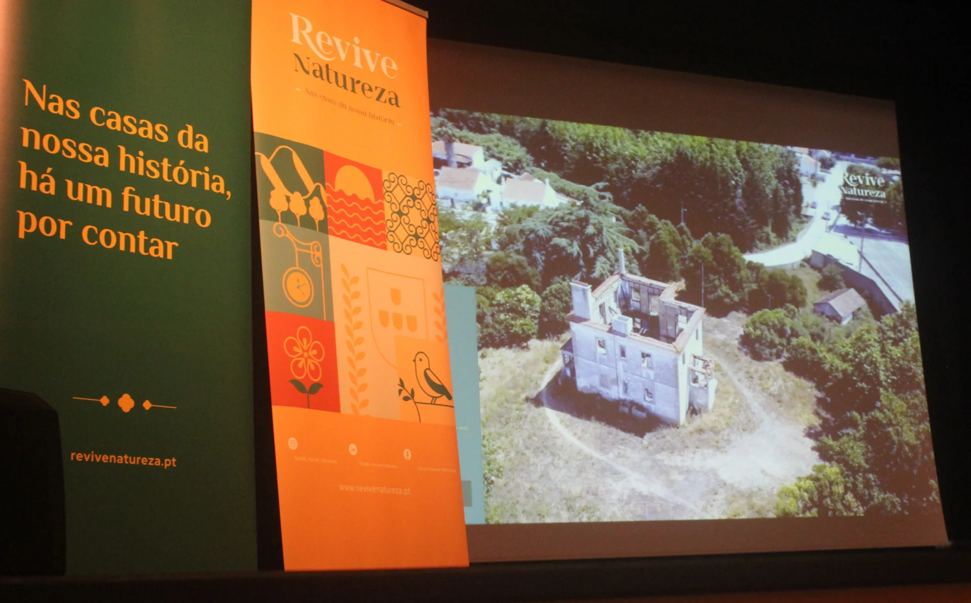 P13 Revive Natureza