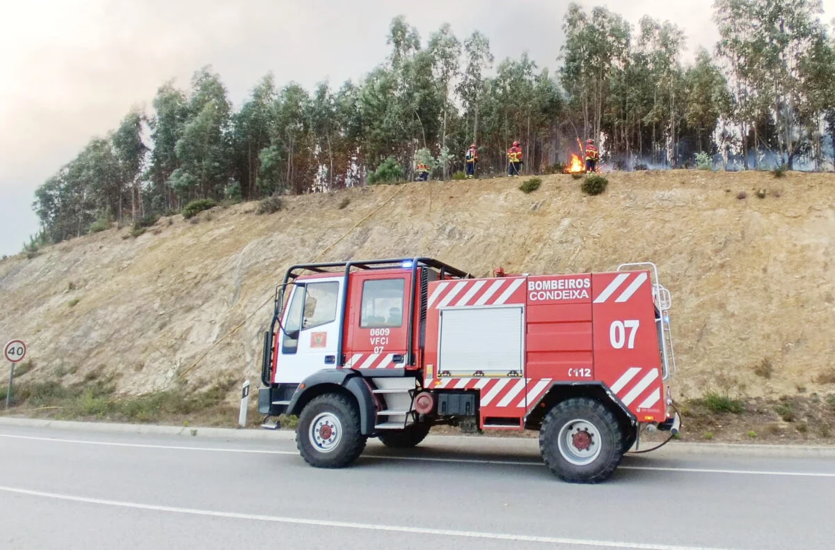 P15 Bombeiros T