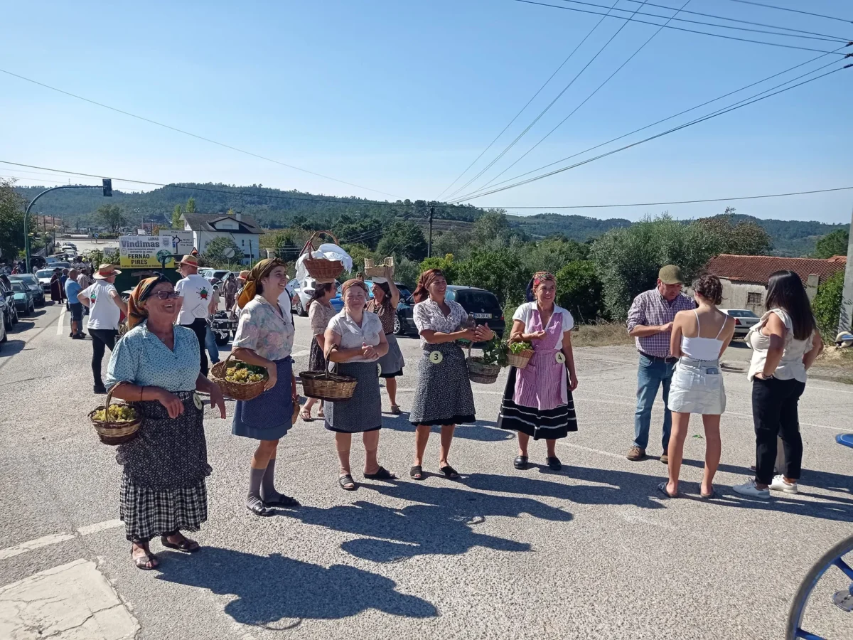 P15 Festa Vindimas