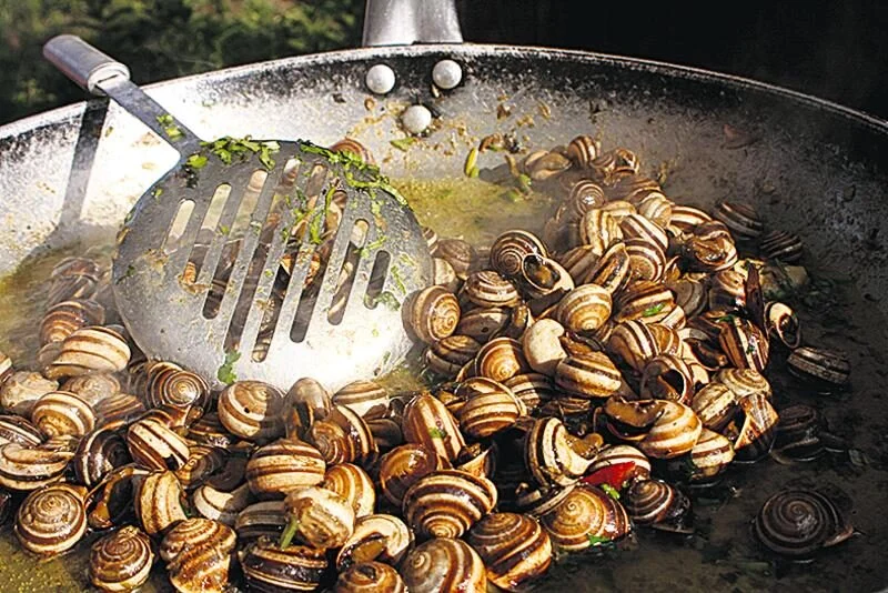 P15mostra Gastronómica Caracol
