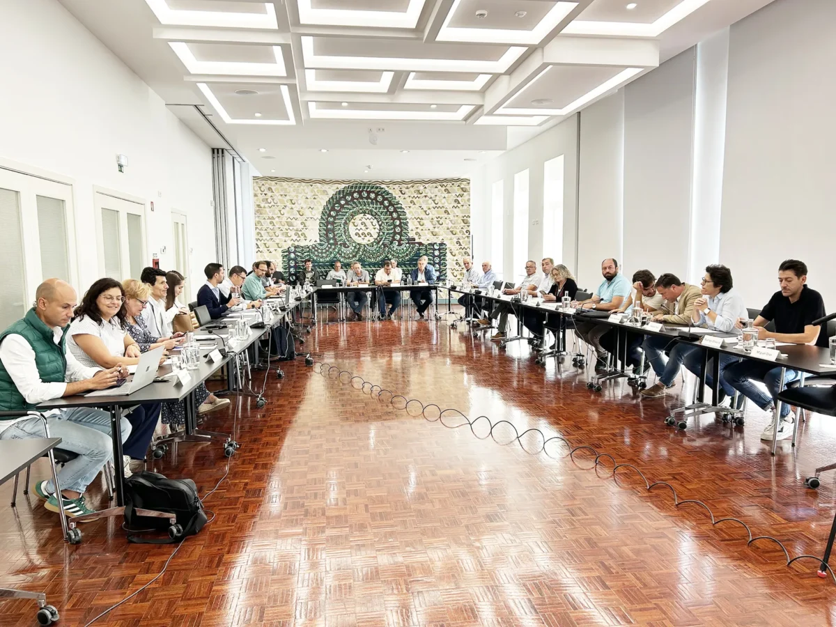 P17 Assembleia Arganil