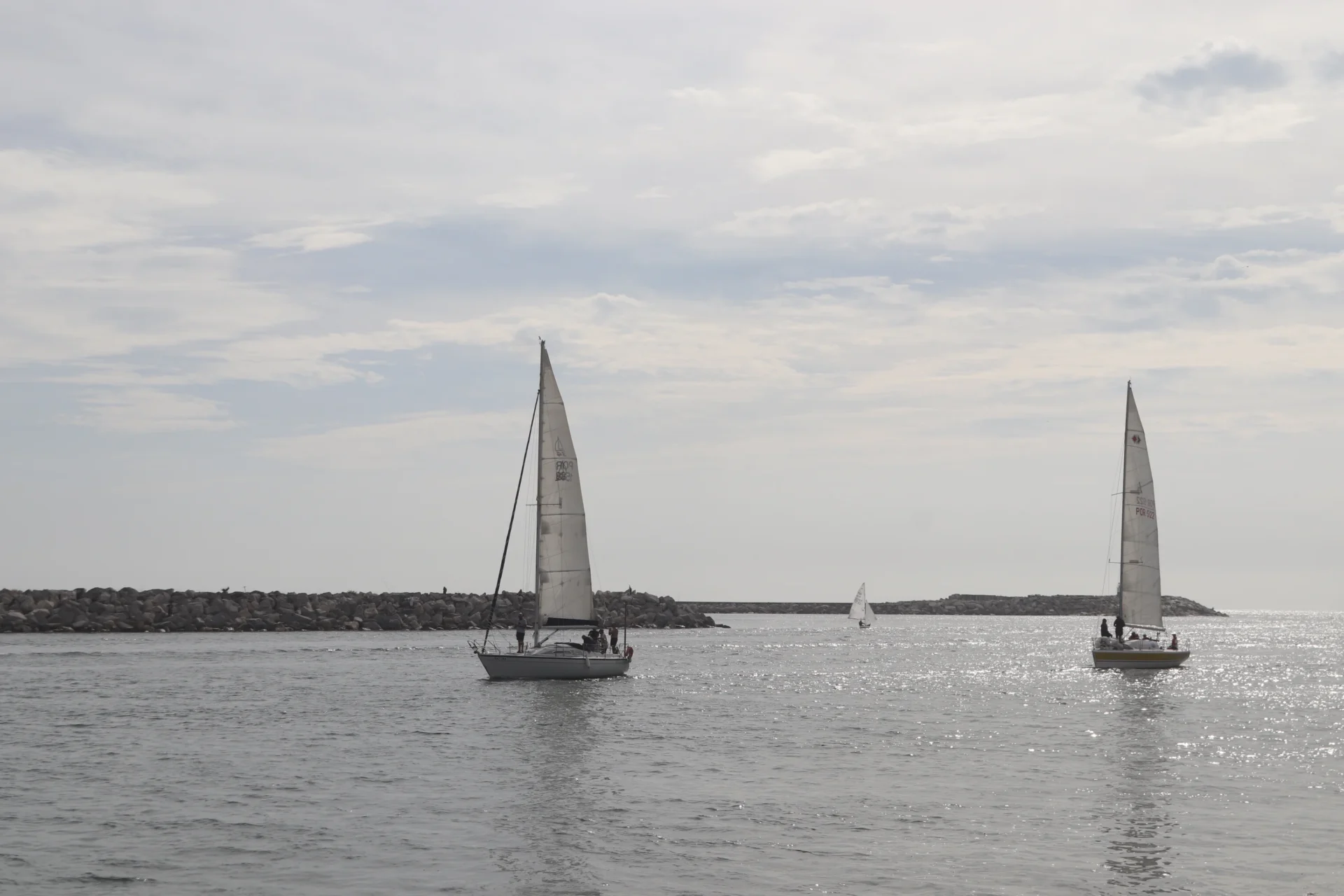 Regata Da Aciff Fig 4
