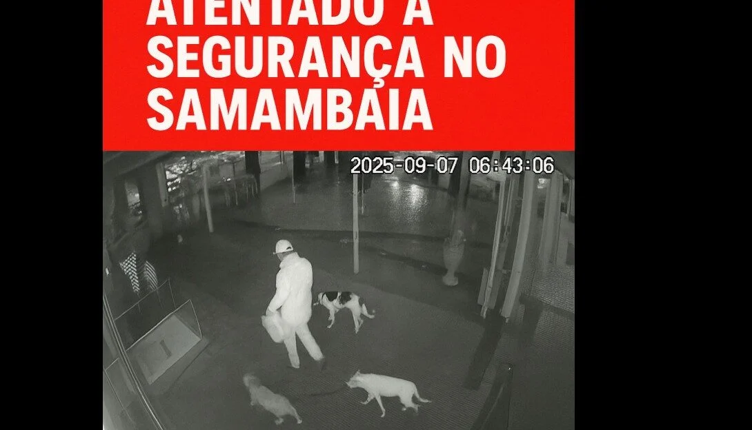 Samambaia
