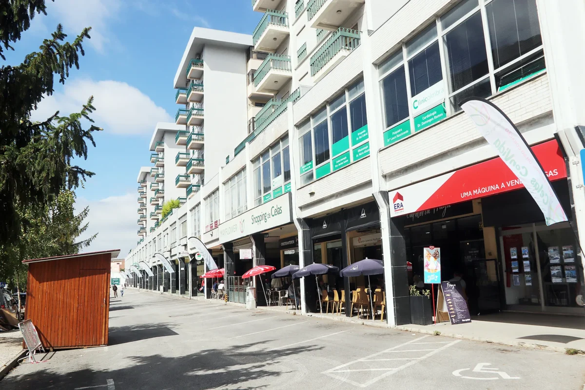 Shopping De Celas Fig 3