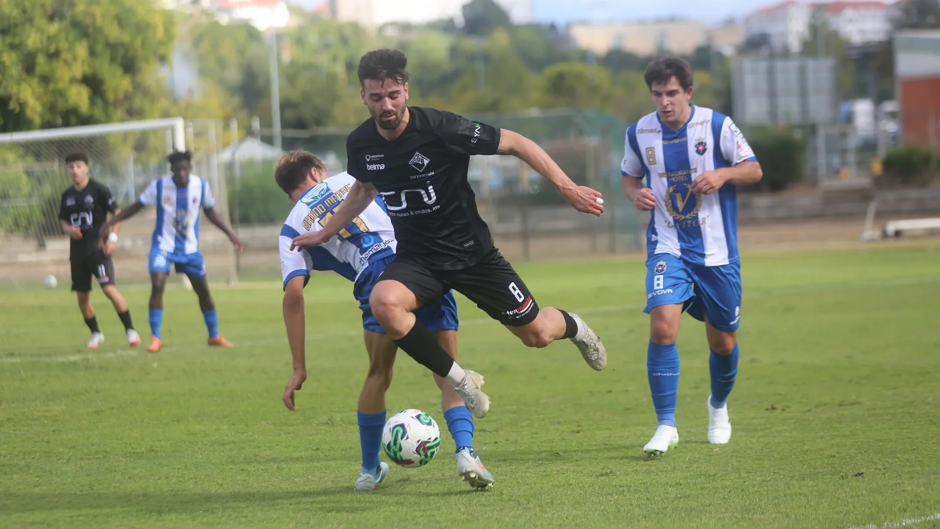 Academica Sf