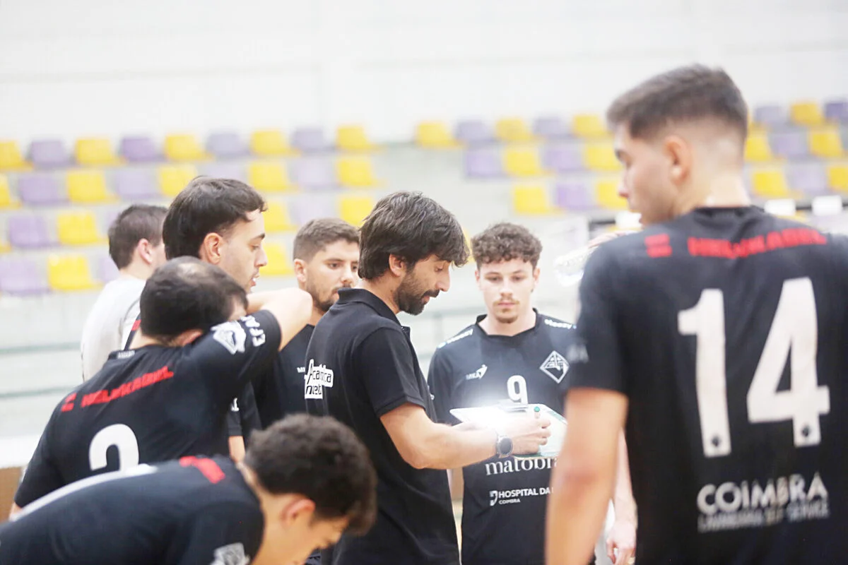 Andebol T