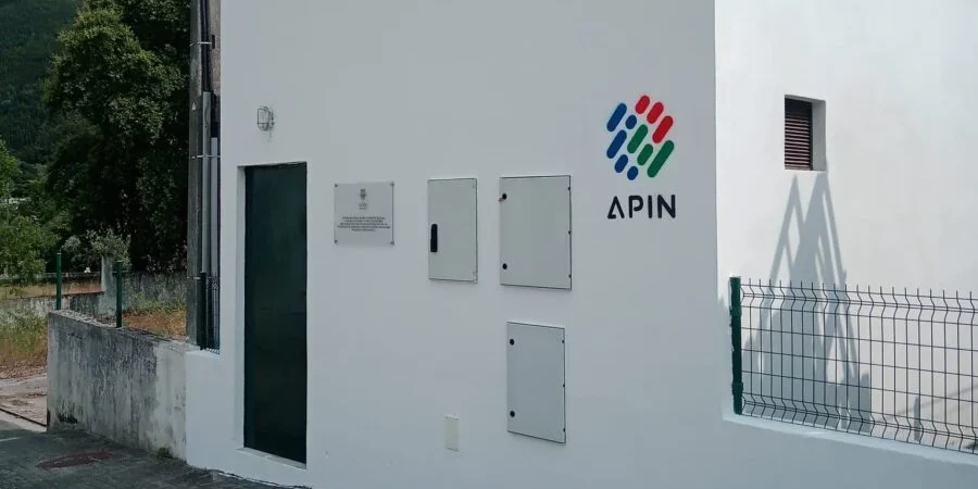Apin