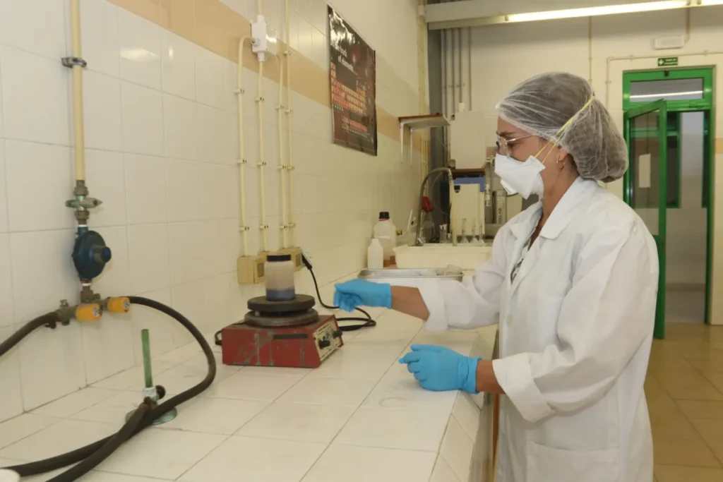 Centro De Biomassa Para A Energia Fig 78