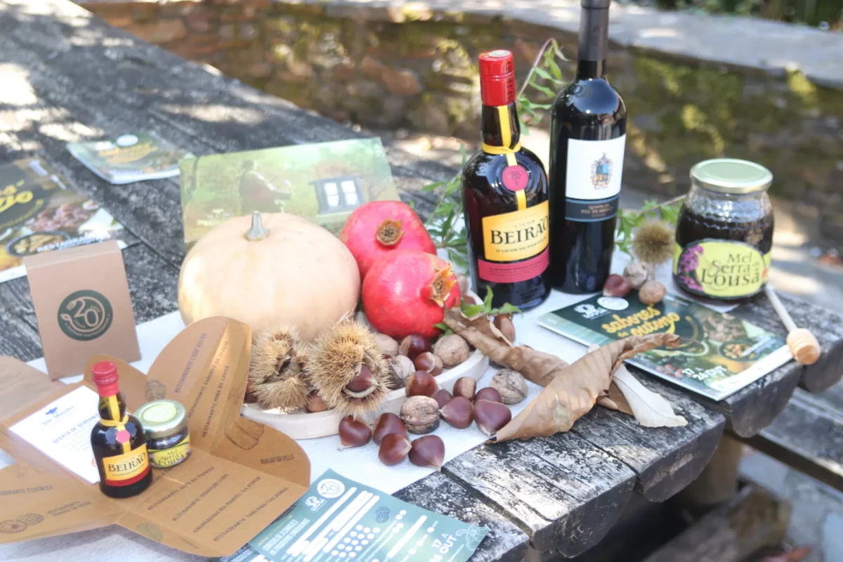 P14 Bola Apresentação Festival Gastronómico Sabores De Outono Fig 5
