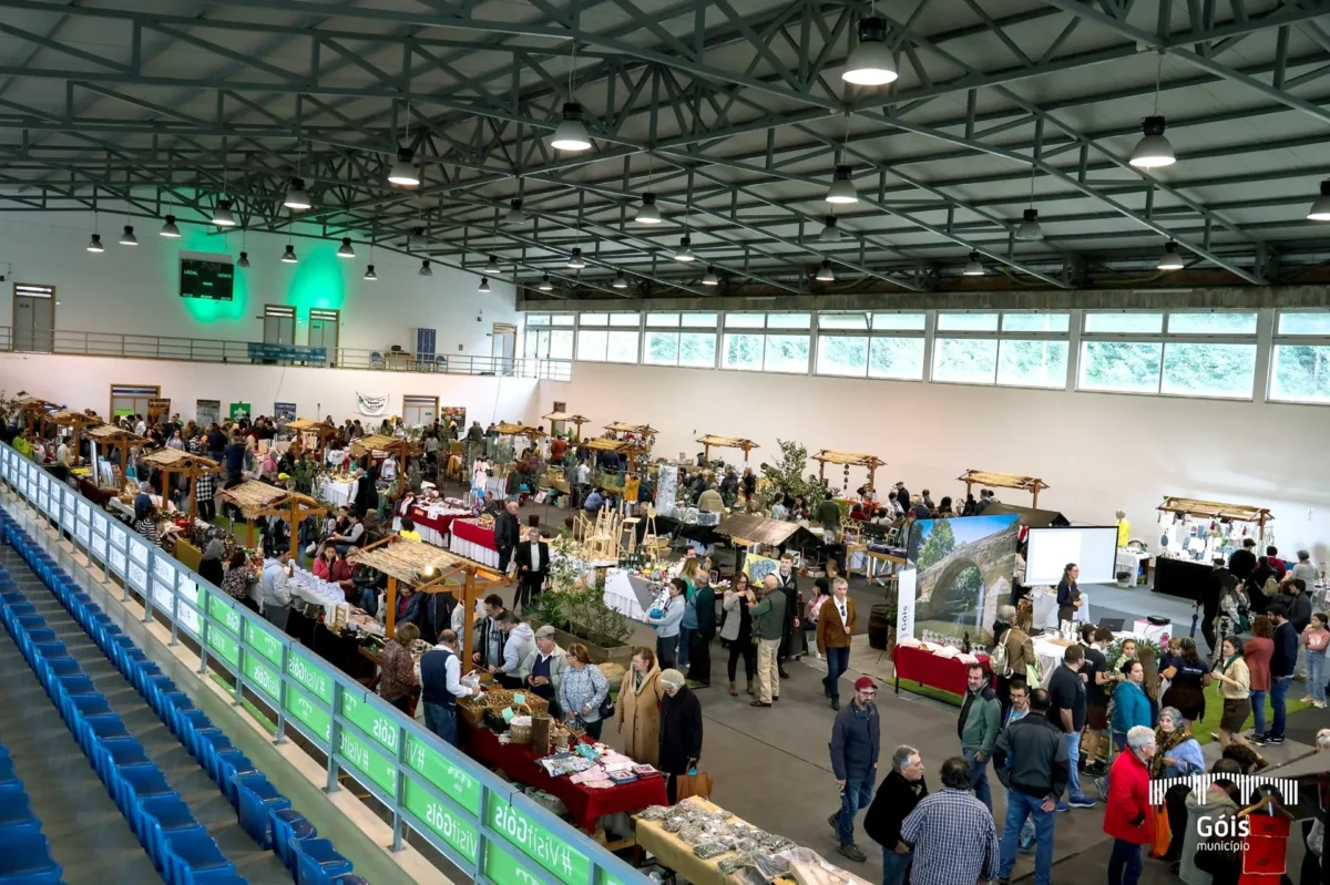 P14 Feira Dos Santos T