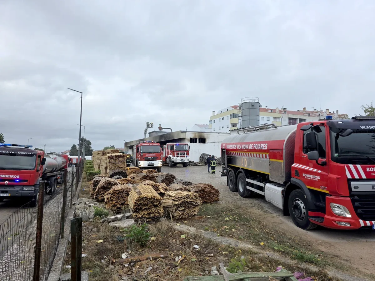 P16 Incendio Lousã T