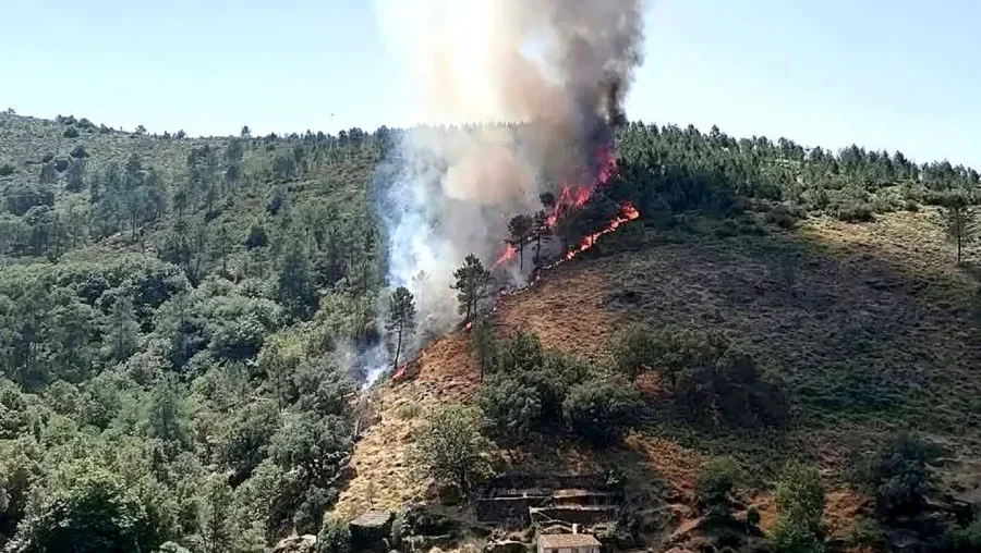 P2 Fogo Lousã