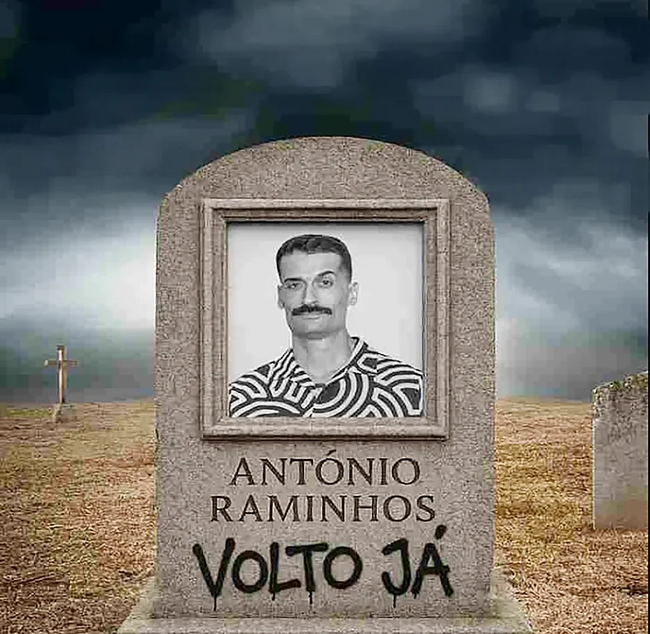 P6 Raminhos