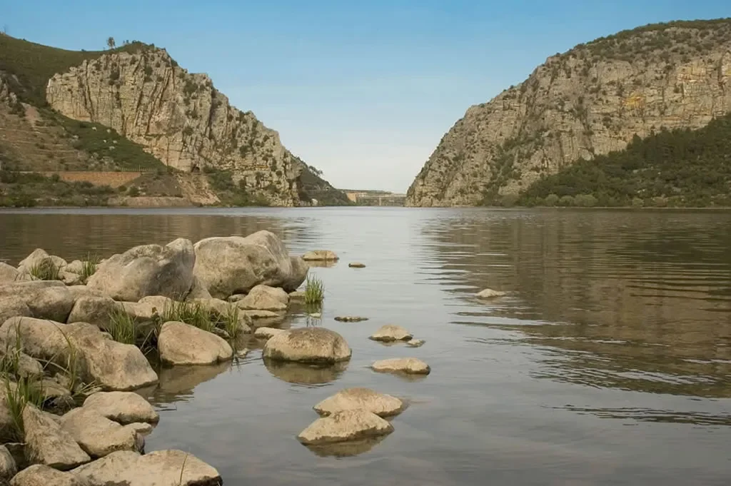 Tejo