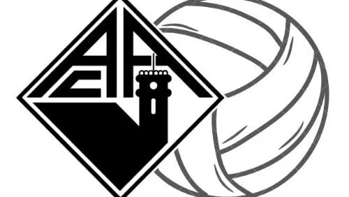 Voleibol