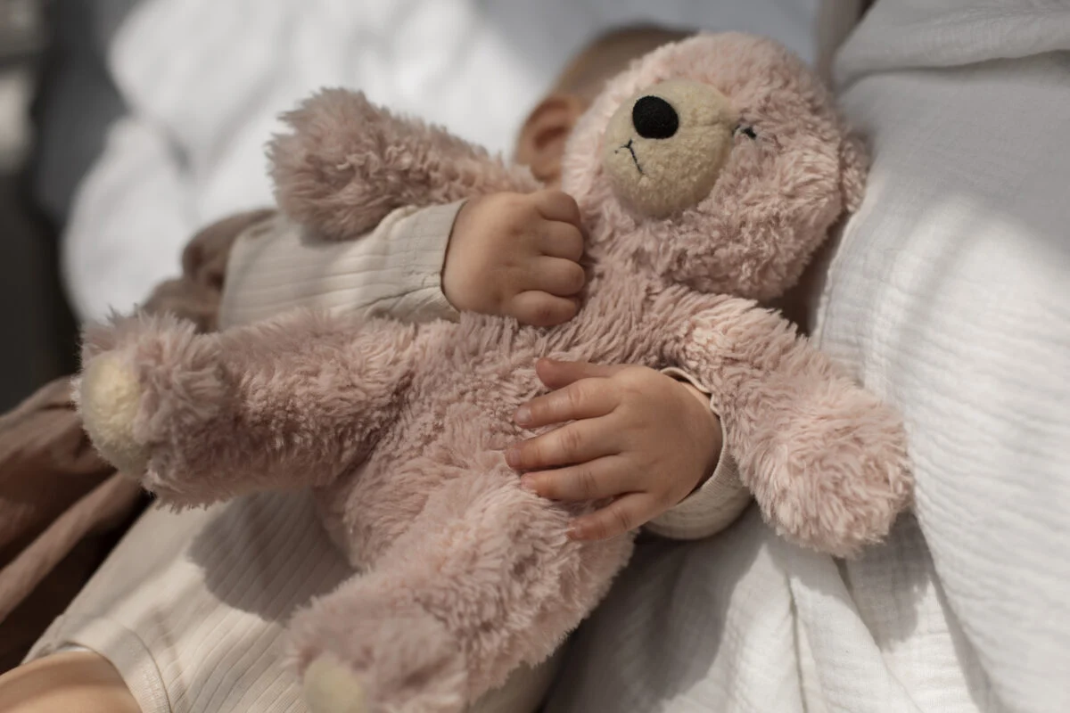 Abuso Criamça Peluche
